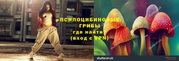 марки lsd Козельск