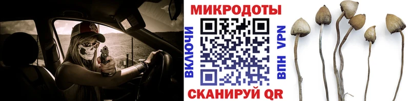 Псилоцибиновые грибы GOLDEN TEACHER  Кудымкар 